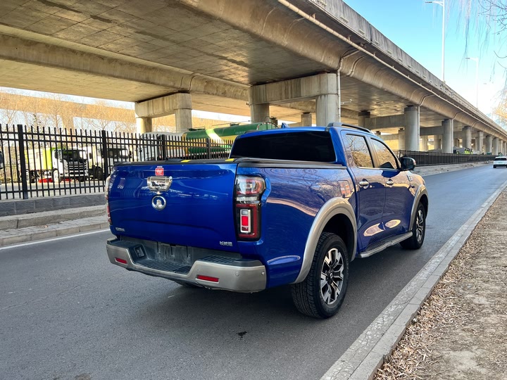 Фото 6 - Great Wall Pao