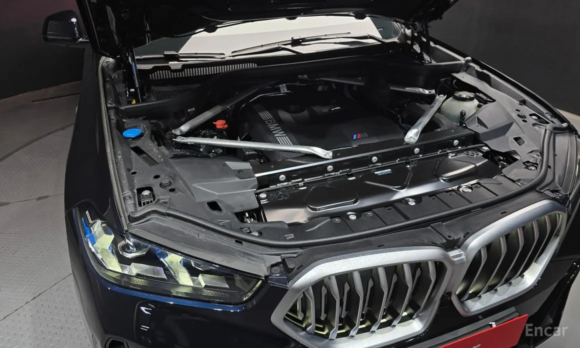 BMW X6 2020 xDrive40i M Sport