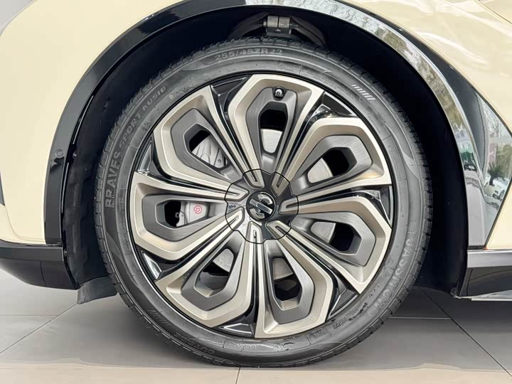 Фото 22 - HiPhi X