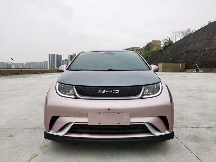 Фото 2 - BYD Dolphin