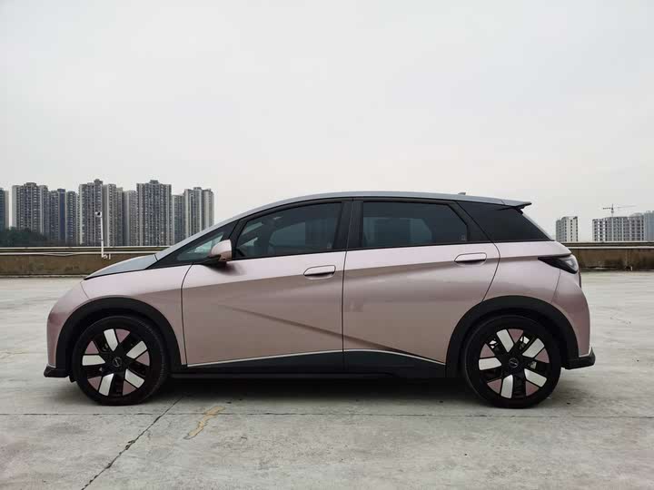 Фото 3 - BYD Dolphin