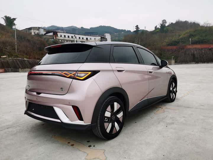 Фото 8 - BYD Dolphin