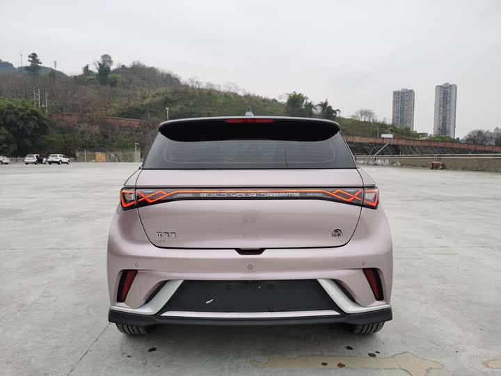 Фото 9 - BYD Dolphin