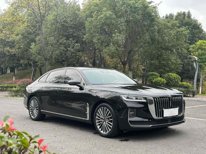 Фото 10 - Hongqi H9