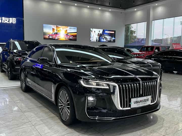 Фото 3 - Hongqi H9