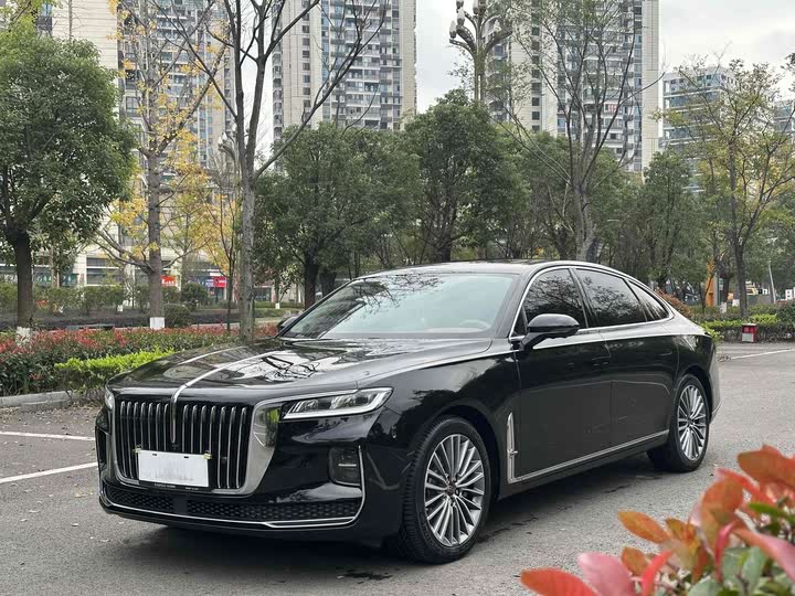 Фото 8 - Hongqi H9