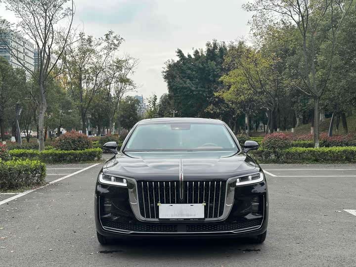 Фото 9 - Hongqi H9