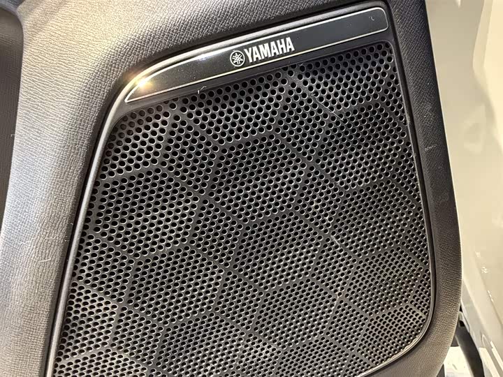 Фото 16 - GAC Trumpchi E9