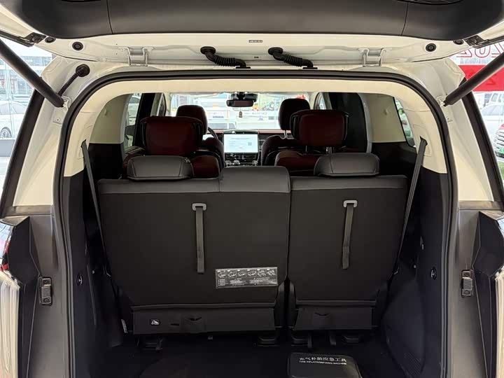 Фото 5 - GAC Trumpchi E9