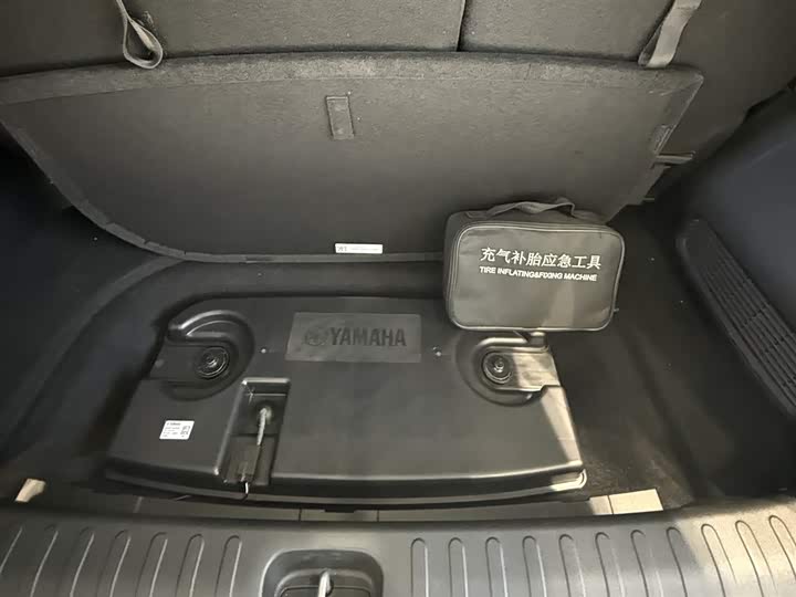 Фото 6 - GAC Trumpchi E9