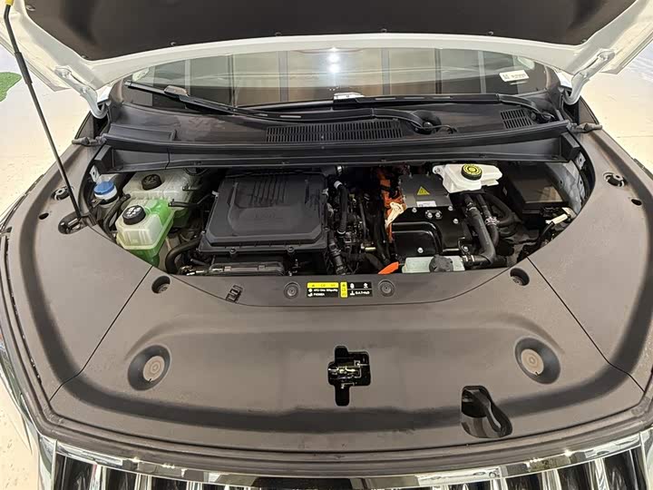 Фото 7 - GAC Trumpchi E9