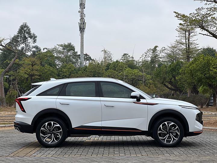 Фото 17 - Haval F7 (Monster)