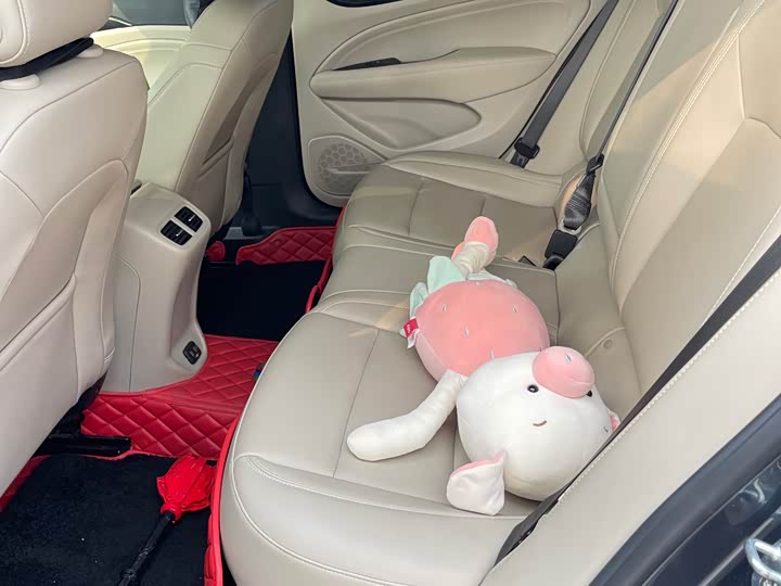 Фото 7 - Buick Regal