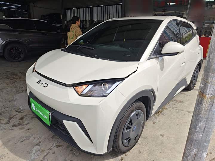 Фото 1 - BYD Seagull