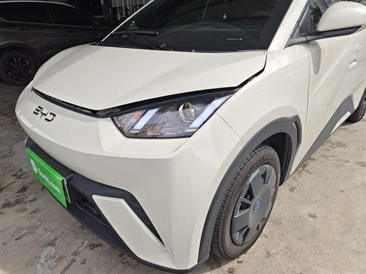 Фото 24 - BYD Seagull