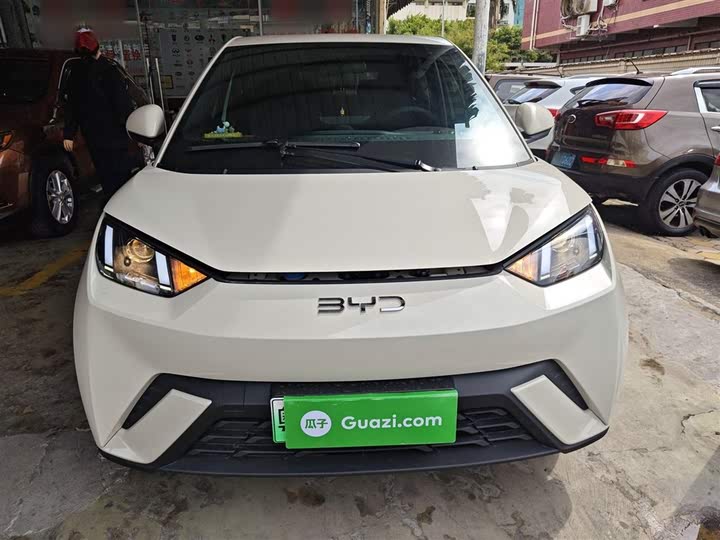 Фото 3 - BYD Seagull