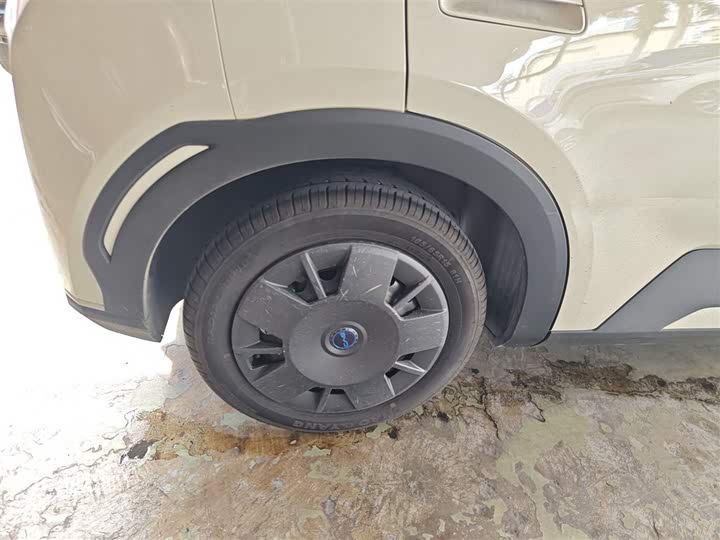 Фото 30 - BYD Seagull