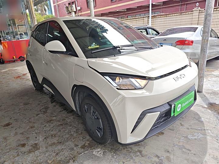 Фото 4 - BYD Seagull