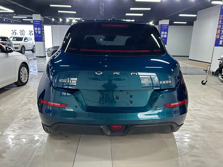 Фото 5 - Ora Good Cat (03)