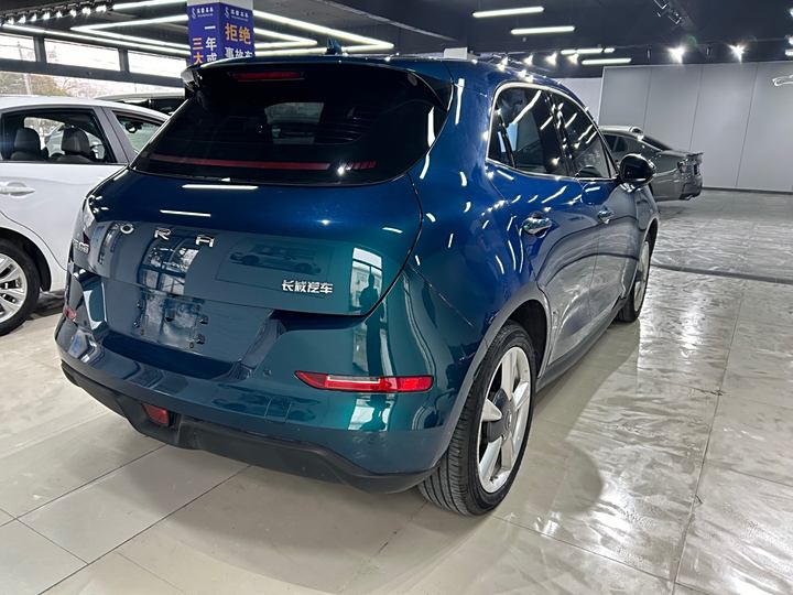 Фото 6 - Ora Good Cat (03)