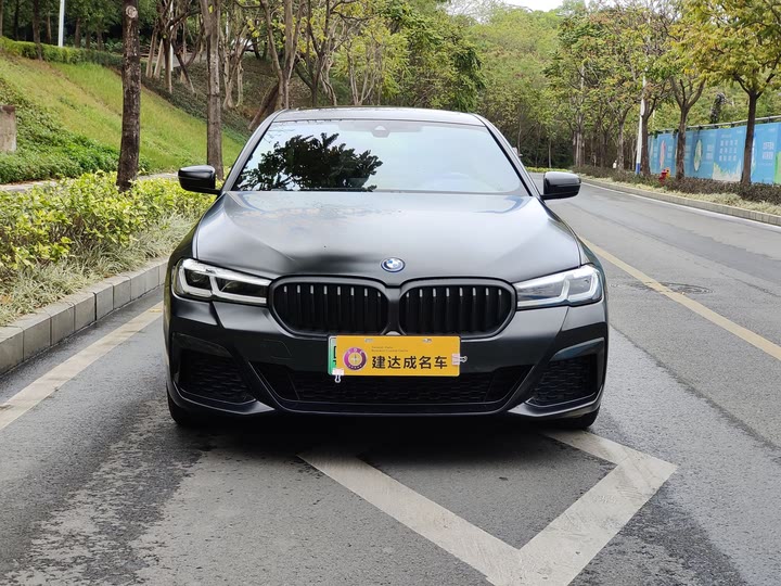 Фото 3 - BMW 5 Series Hybrid