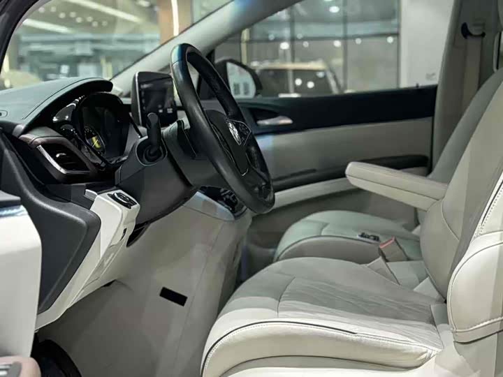 Фото 8 - Buick GL8 ES