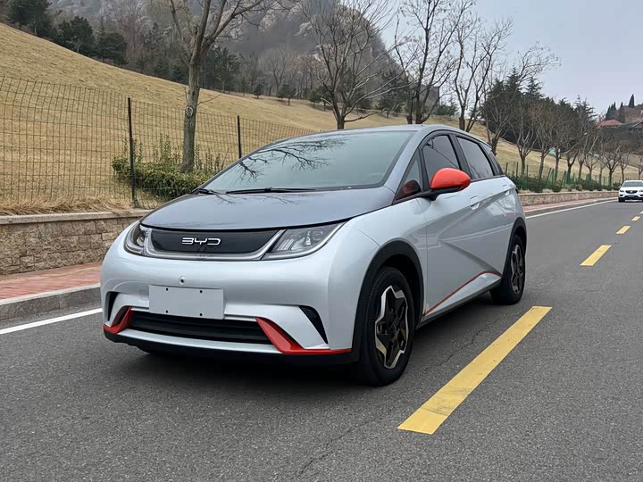 Фото 2 - BYD Dolphin