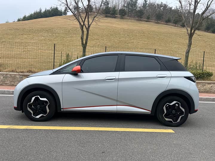 Фото 3 - BYD Dolphin