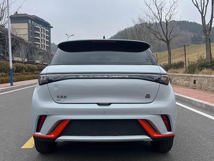 Фото 4 - BYD Dolphin