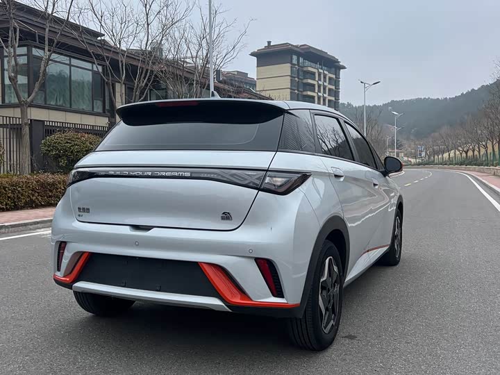 Фото 5 - BYD Dolphin