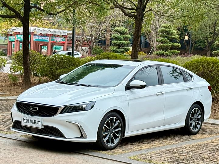 Фото 1 - Geely Binrui