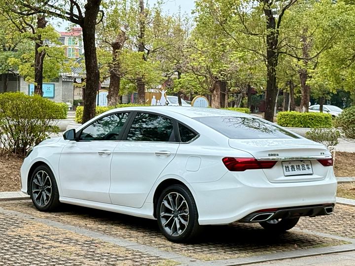 Фото 11 - Geely Binrui