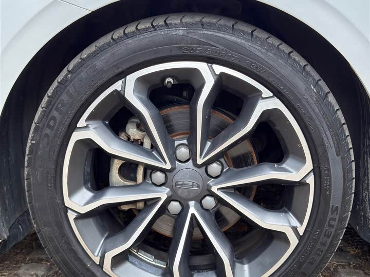 Фото 12 - Geely Binrui