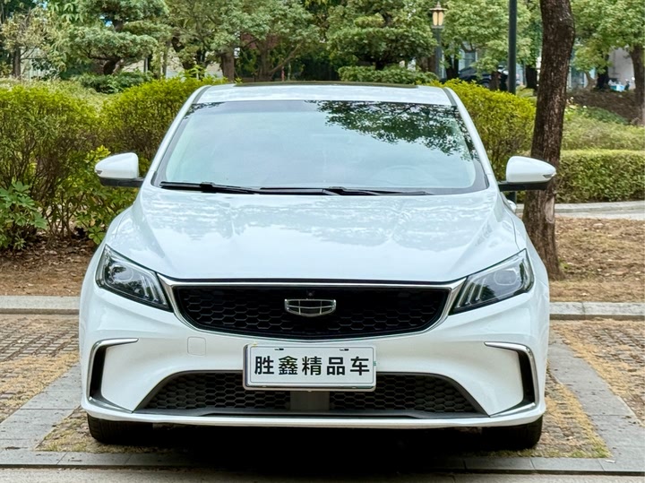 Фото 2 - Geely Binrui