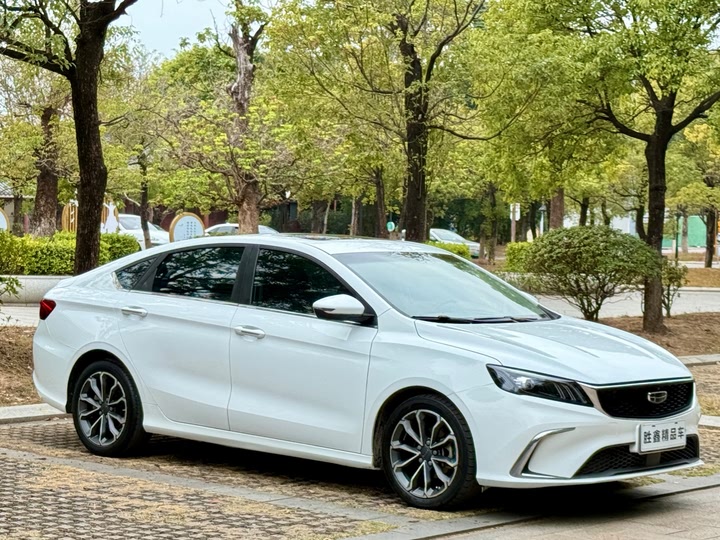 Фото 3 - Geely Binrui