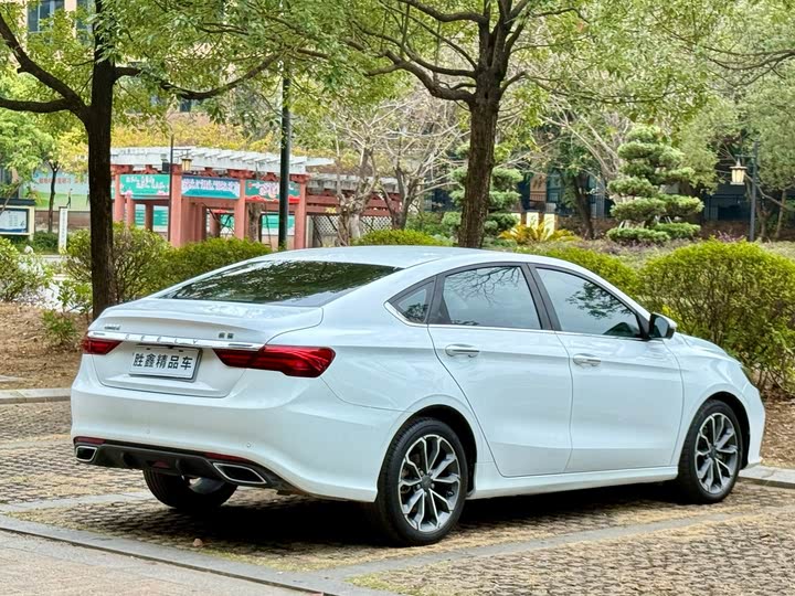 Фото 9 - Geely Binrui