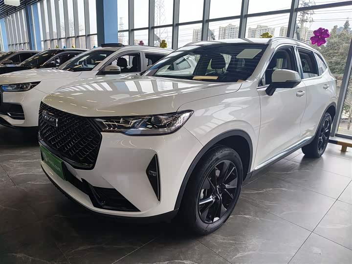 Фото 1 - Haval H6