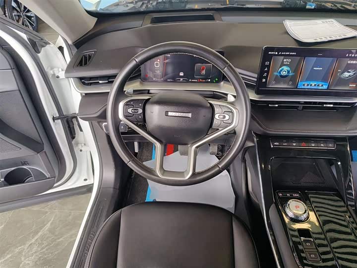 Фото 10 - Haval H6