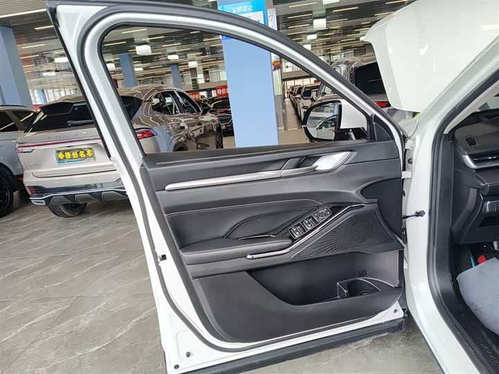 Фото 26 - Haval H6