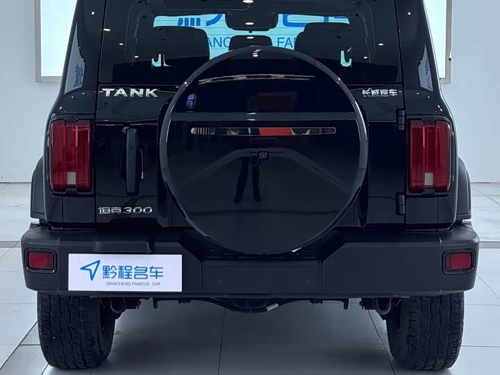 Фото 12 - Tank 300