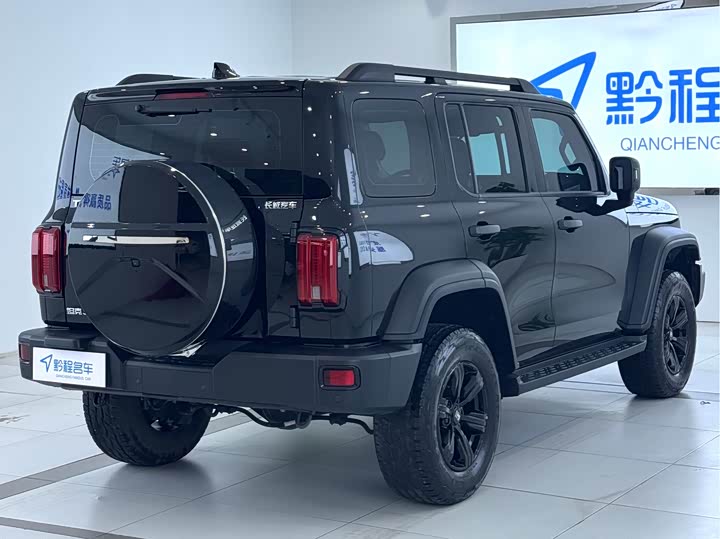 Фото 13 - Tank 300