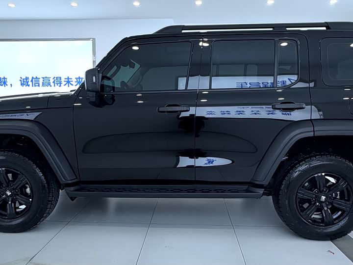 Фото 4 - Tank 300