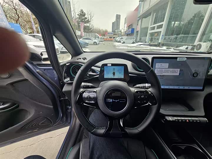 Фото 12 - BYD Dolphin