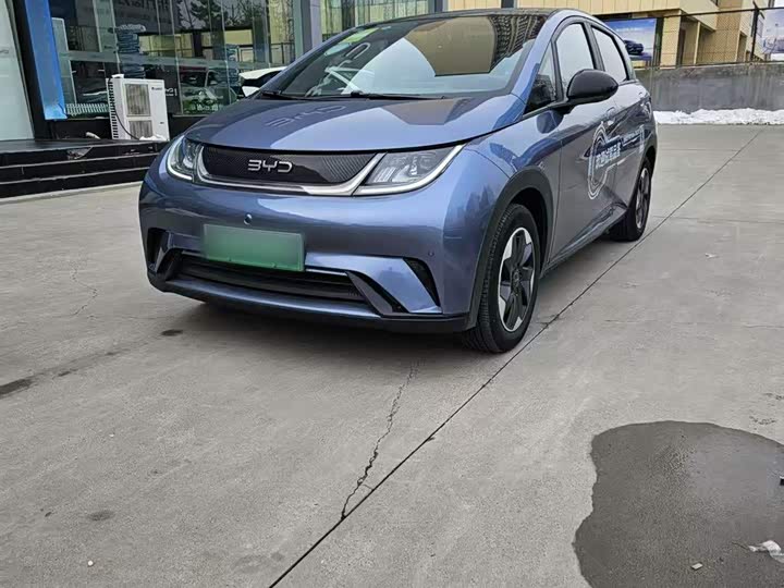 Фото 2 - BYD Dolphin