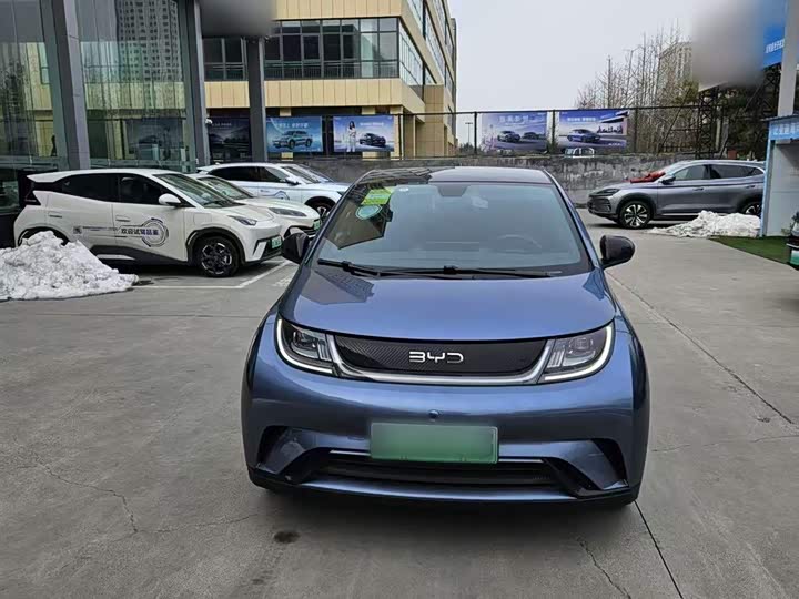 Фото 7 - BYD Dolphin