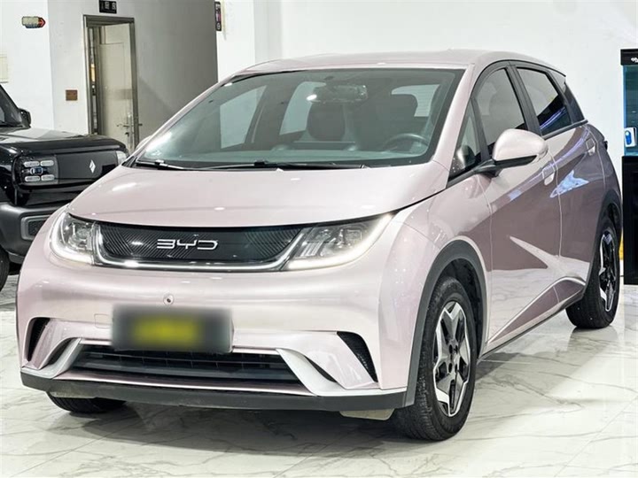 Фото 1 - BYD Dolphin