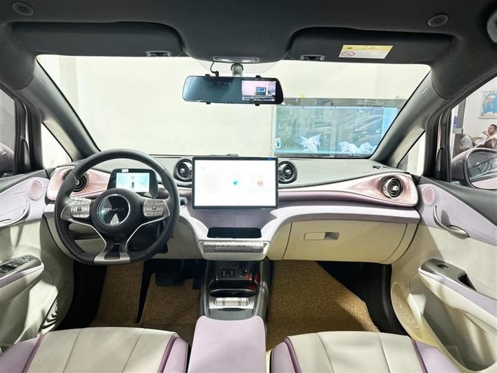 Фото 11 - BYD Dolphin