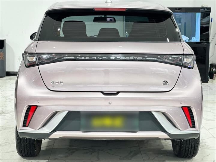 Фото 14 - BYD Dolphin