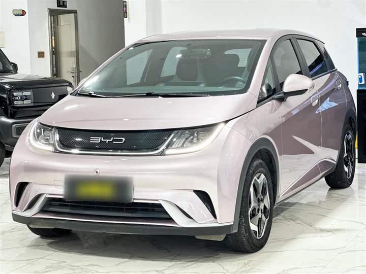 Фото 2 - BYD Dolphin