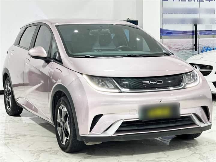 Фото 3 - BYD Dolphin